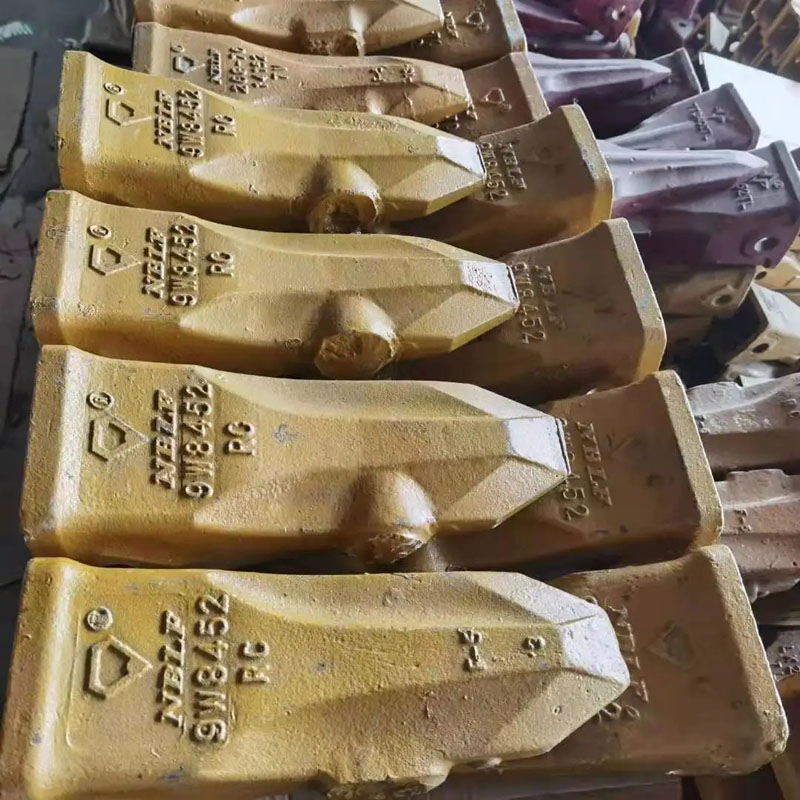 तीखो बाल्टिन दाँत